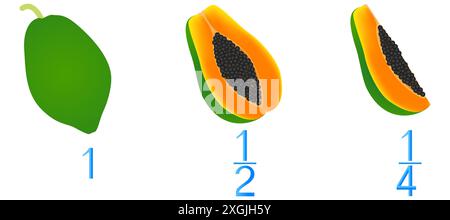 Mathematische Spiele für Kinder. Studieren Sie die Fraktionszahlen, Beispiel mit einer Papaya. Stock Vektor