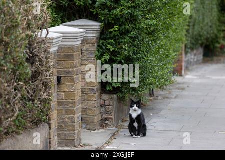 Gegend um Kentish Town in Nord-London, Sitz des Labour-Parteivorsitzenden Sir Keir Starmer für 17 Jahre, bevor er Premierminister des Vereinigten Königreichs wurde. Stockfoto