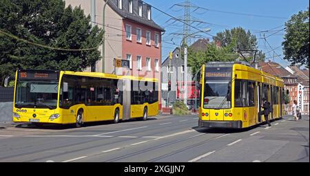 Öffentlicher Personenverkehr in Ballungsräumen Begegnung von einem Linienbus und einer Straßenbahn an einer Haltestelle Essen Nordrhein-Westfalen Deutschland Borbeck-Süd *** öffentlicher Personenverkehr in Ballungsräumen Begegnung zwischen Bus und Straßenbahn an einer Haltestelle Essen Nordrhein-Westfalen Deutschland Borbeck Süd Stockfoto