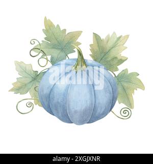 Ein blauer Kürbis, umgeben von grünen Blättern und Weinstöcken. Squash Watercolor Clipart. Perfekt für Herbstmotive wie Grußkarten, Scheunenhochzeiten, Einladungen und saisonale Wohnkultur, Flyer Stockfoto