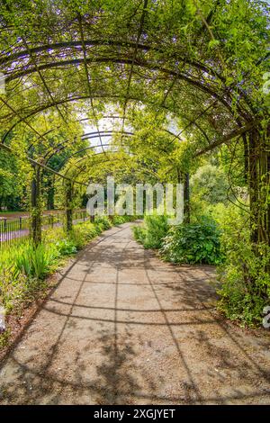 Wunderschöner Gartenbogen und Pergola mit Laub und Pflanzen, die über dem Gipfel wachsen. Ein gepflasterter Gang führt in die Ferne. Stockfoto