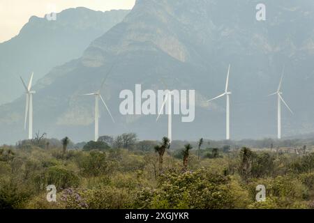 Gruppe von Windmühlen in einem Feld in Monterrey Mexiko Stockfoto