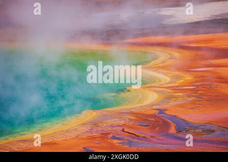 Atemberaubender Blick aus der Vogelperspektive auf die große prismatische Quelle, die Dampfwolken im yellowstone-Nationalpark freisetzt Stockfoto