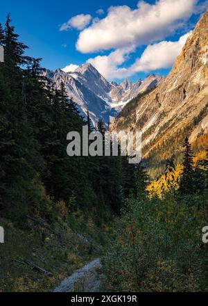 Schotterwanderweg schlängelt sich durch einen üppigen Wald und führt zu hoch aufragenden, schneebedeckten Gipfeln in den kanadischen rocky mountains Stockfoto