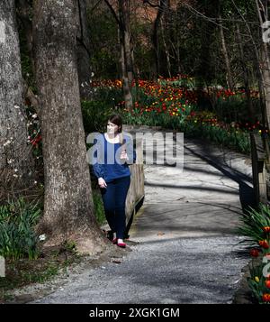 Der Frühling bringt blühende Tulpen in die Dixon Gallery and Gardens. Schöne junge Frau geht den Weg entlang und genießt ihre Schönheit. Stockfoto