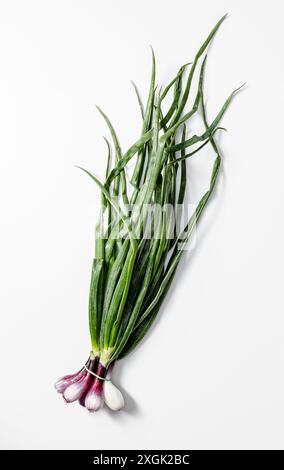 Blick von oben auf einen Haufen frischer roter Zwiebeln mit leuchtend grünen Stielen und lila und weißen Zwiebeln, zusammengebunden und vor einem sauberen weißen Hintergrund. Stockfoto