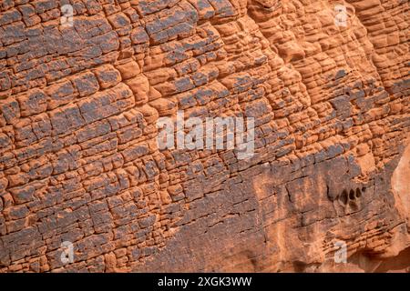 Eine Felswand mit vielen Rissen und Spalten. Die Mauer scheint alt und verwittert zu sein, mit viel Schmutz und Schutt. Die Szene ist eine von Ruggedne Stockfoto