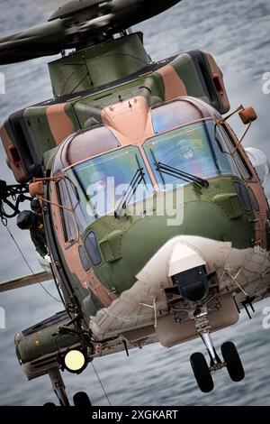 Portugiesischer Hubschrauber der Luftwaffe „Esquadra 751“ EH101. Stockfoto