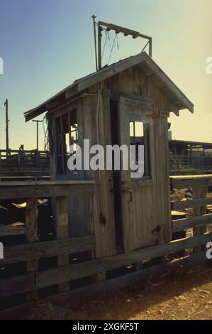 Fort Worth Texas Stockyard Pen Gebäude 1980 Stockfoto