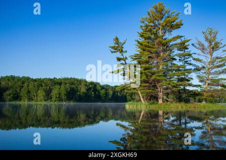 Wunderschöner ruhiger blauer See und Insel mit Kiefern unter klarem Himmel an einem Sommermorgen im Norden von Minnesota Stockfoto