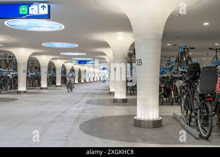 Neues Fahrradparkhaus am Hauptbahnhof Amsterdam Central, Stationsplein, Platz für rund 7000 Fahrräder, größtes in Amsterdam, digital überwacht, Unterirdisch, direkte Anbindung an den Bahnhof und die Metro, Niederlande, Fahrradparkhaus Stationsplein *** Neues Fahrradparkhaus am Amsterdamer Hauptbahnhof, Stationsplein, Platz für rund 7000 Fahrräder, größtes in Amsterdam, digital überwacht, unterirdisch, direkte Verbindung zum Bahnhof und zur U-Bahn, Niederlande, Stationsplein Fahrradparkhaus Stockfoto