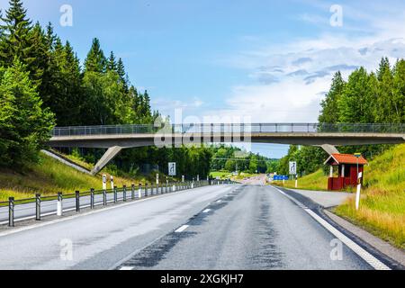 Blick auf die Autobahn mit Überführung, umgeben von üppigen grünen Bäumen an klaren Sommertagen. Schweden. Stockfoto