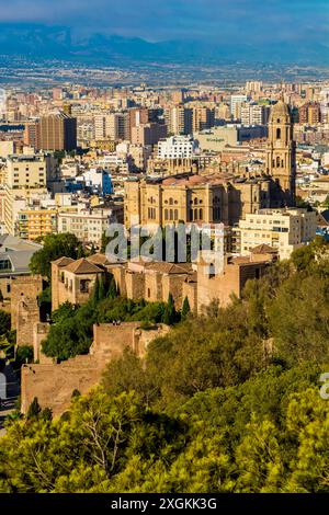 Blick auf die Kathedrale von der Alcazaba und das Schloss von Gibralfaro auf dem Berg Malaga über der Altstadt, malaga, spanien. Stockfoto