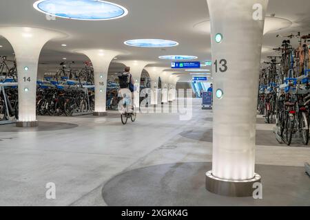 Neues Fahrradparkhaus am Hauptbahnhof Amsterdam Central, Stationsplein, Platz für rund 7000 Fahrräder, größtes in Amsterdam, digital überwacht, Unterirdisch, direkte Anbindung an den Bahnhof und die Metro, Niederlande, Fahrradparkhaus Stationsplein *** Neues Fahrradparkhaus am Amsterdamer Hauptbahnhof, Stationsplein, Platz für rund 7000 Fahrräder, größtes in Amsterdam, digital überwacht, unterirdisch, direkte Verbindung zum Bahnhof und zur U-Bahn, Niederlande, Stationsplein Fahrradparkhaus Stockfoto