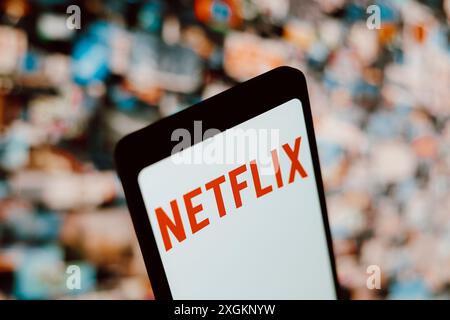 Paraguay. Juli 2024. In dieser Abbildung wird das Netflix-Logo auf einem Smartphone-Bildschirm angezeigt. (Foto von Jaque Silva/SOPA Images/SIPA USA) *** ausschließlich für redaktionelle Nachrichten *** Credit: SIPA USA/Alamy Live News Stockfoto