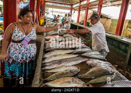 Fisch im Sir Selwyn Selwyn - Clarke Market, Victoria, Mahe, Republik Seychellen, Indischer Ozean. Stockfoto