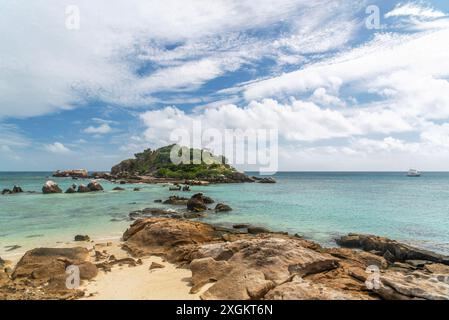 Osprey Island liegt in der Nähe von Lizard Island am Great Barrier Reef in Queensland, Australien. Osprey Island ist ein Nistgebiet für Seevögel Stockfoto