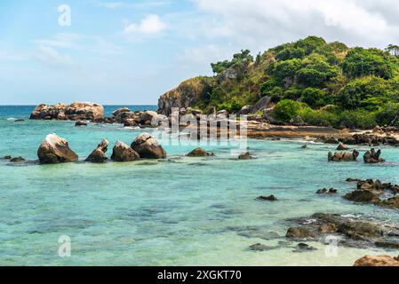 Osprey Island liegt in der Nähe von Lizard Island am Great Barrier Reef in Queensland, Australien. Osprey Island ist ein Nistgebiet für Seevögel Stockfoto