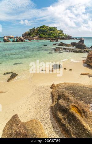 Osprey Island liegt in der Nähe von Lizard Island am Great Barrier Reef in Queensland, Australien. Osprey Island ist ein Nistgebiet für Seevögel Stockfoto