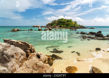 Osprey Island liegt in der Nähe von Lizard Island am Great Barrier Reef in Queensland, Australien. Osprey Island ist ein Nistgebiet für Seevögel Stockfoto