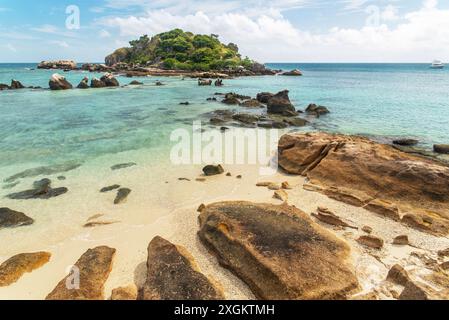 Osprey Island liegt in der Nähe von Lizard Island am Great Barrier Reef in Queensland, Australien. Osprey Island ist ein Nistgebiet für Seevögel Stockfoto