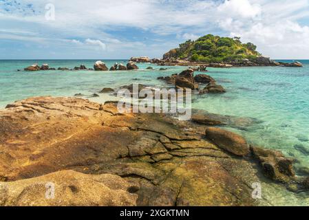 Osprey Island liegt in der Nähe von Lizard Island am Great Barrier Reef in Queensland, Australien. Osprey Island ist ein Nistgebiet für Seevögel Stockfoto