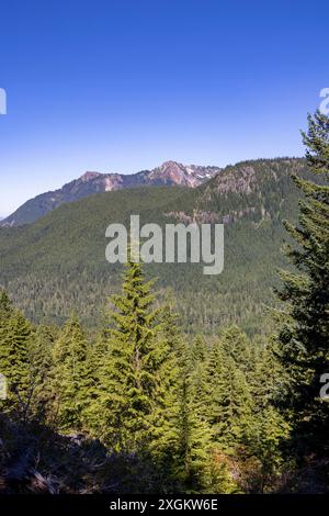Emerald Ridge vom Rampart Ridge Hiking Trail, Mount Rainier National Park, Washington State, USA Stockfoto