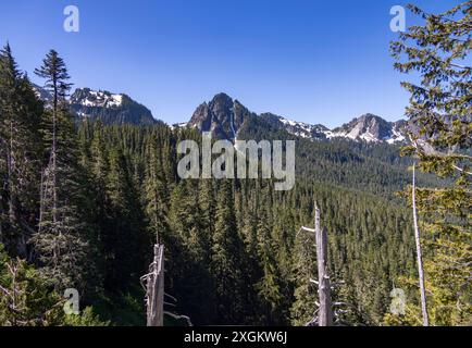 Blick in Richtung Tatoosh Range, Mount Rainier National Park, Washington State, USA Stockfoto