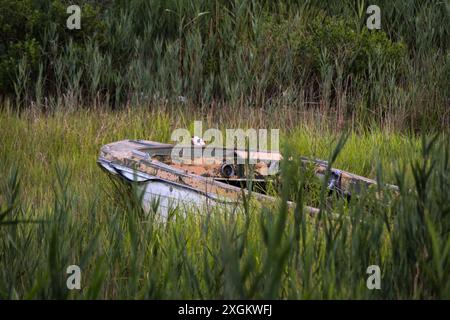 Ein verlassenes Boot sitzt in einem Bett aus grünem Gras. Stockfoto