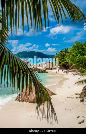 Schwere Strand Anse, La Digue, Republik der Seychellen, Indischer Ozean. Stockfoto