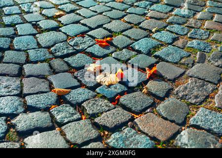 Kopfsteinpflaster-Gehweg mit Herbstlaub drauf. Straßenbeläge in der Herbstsaison Stockfoto