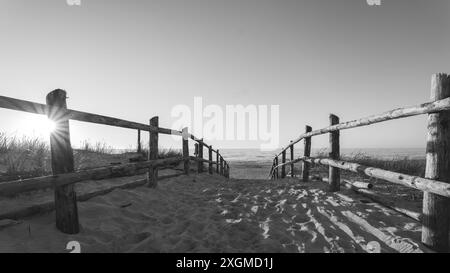 Schwarzweißfoto. Sandiger Eingang zum Strand. Sonnenuntergang. Holzgeländer. Fußabdrücke im Sand. Mit Gras bewachsene Dünen. Slajszewo, Polen. B Stockfoto