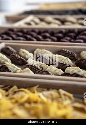 Nahaufnahme von verschiedenen handgefertigten Nudelsorten auf Holztabletts. Die Pasta hat verschiedene Formen und Farben und zeigt die Kunst der traditionellen Stockfoto