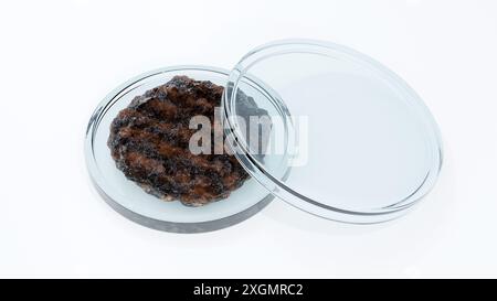 Die 3D-Veredelung eines runden Rindfleischpastchens befindet sich in einer Petrischale, was auf eine mögliche wissenschaftliche Analyse von Fleischerzeugnissen hindeutet. Stockfoto