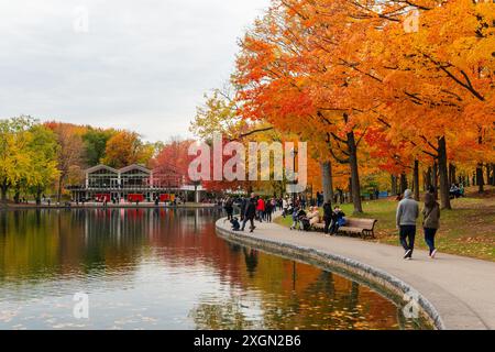 Beaver Lake, Mount Royal Park ( Parc du Mont-Royal ) im Herbst. Die Leute entspannen sich im Park und genießen die roten Ahornbäume. Montreal, Quebec, Kanada. Stockfoto