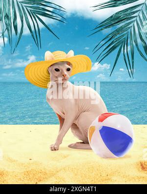 Wunderschöne reinrassige Sphynx-Katze mit Strohhut, die am Strand mit Volleyballball sitzt, vor blauem Ozean und Himmel Hintergrund. Tropische Kälte. Modern Stockfoto