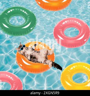 Unbeschwerte Katze in Sonnenbrille, die sich auf bunten aufblasbaren Ringen im strukturierten Swimmingpool entspannt, Gefühl der Sommerkühlung. Zeitgenössische Kunstcollage. Stockfoto