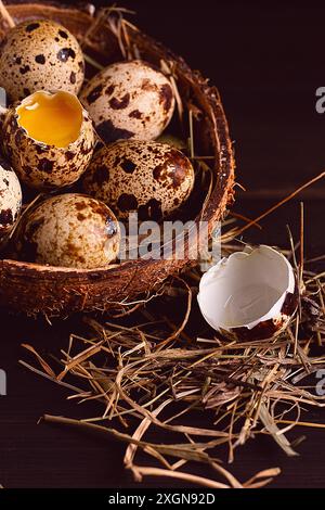 Frische Wachteleier, auf einem Teller Kokos, auf einem braunen Holztisch, Blick von oben, vertikal, keine Leute Stockfoto