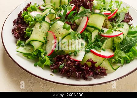 Gemüsesalat, Radieschen und Gurken, Rettich-Mikrogemüse, Salatblätter, grüne Zwiebeln, hausgemacht, keine Leute Stockfoto