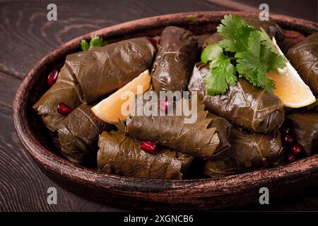 Dolma (Tolma) gefüllte Brötchen, Hackfleisch mit Reis, in Traubenblättern, Blick von oben, keine Leute, Nahaufnahme Stockfoto