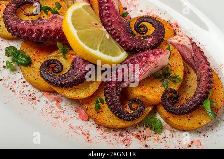 Oktopus mit Kartoffeln und Gewürzen, auf einer Leuchtplatte, Draufsicht, keine Leute, hausgemacht, Nahaufnahme Stockfoto