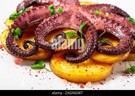 Oktopus mit Kartoffeln und Gewürzen, auf einer Leuchtplatte, Draufsicht, keine Leute, hausgemacht, Nahaufnahme Stockfoto