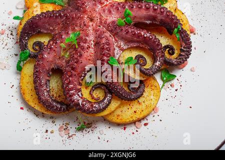 Oktopus mit Kartoffeln und Gewürzen, auf einer Leuchtplatte, Draufsicht, keine Leute, hausgemacht, Nahaufnahme Stockfoto