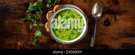 Veganes Speisepanorama, grüne Cremesuppe mit Toast und frischer Minze, Overhead Shot auf dunklem rustikalem Holzhintergrund Stockfoto