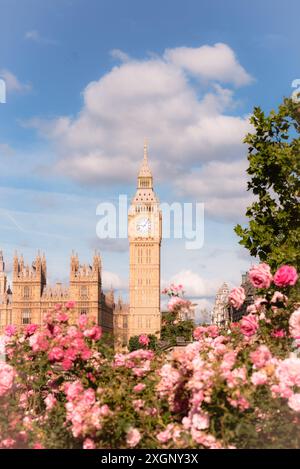 Big-Ben-Fotografie mit Rose Garden Stockfoto