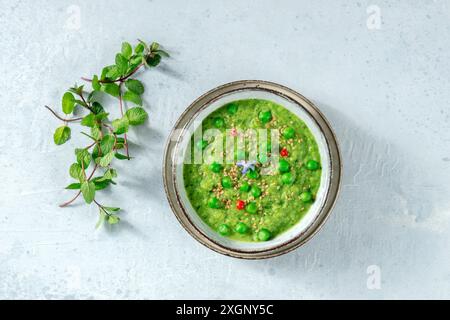 Würzige Gemüsesuppe, Overhead Schuss mit frischer Minze, gesunde Ernährung Stockfoto