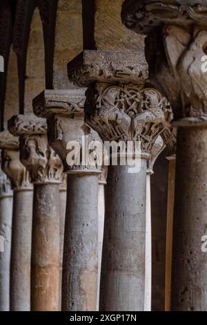 Kreuzgang von Santo Domingo de Silos, Provinz Burgos, Spanien Stockfoto