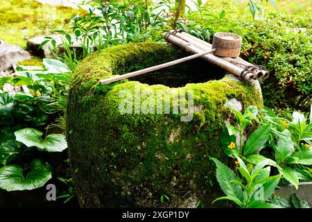 Moosbedeckte Tsukubai im traditionellen japanischen Garten, eines der berühmtesten Elemente im traditionellen japanischen Garten Stockfoto