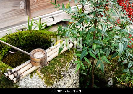 Moosbedeckte Tsukubai im traditionellen japanischen Garten, eines der berühmtesten Elemente im traditionellen japanischen Garten Stockfoto