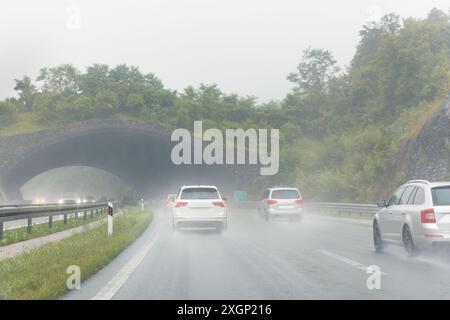 Rückansicht vieler Autos, die nach Regen auf nasser Autobahn schnell durch Tierbrückentunnel fahren. Autounfall Fahrzeug Rush Hour Stockfoto